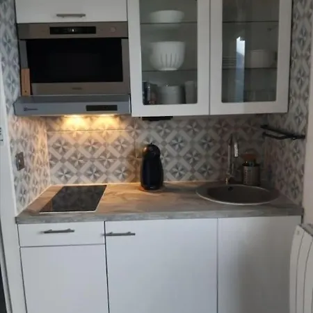 Studio La Voile Des Neiges Pra Loup 1600 Apartment *