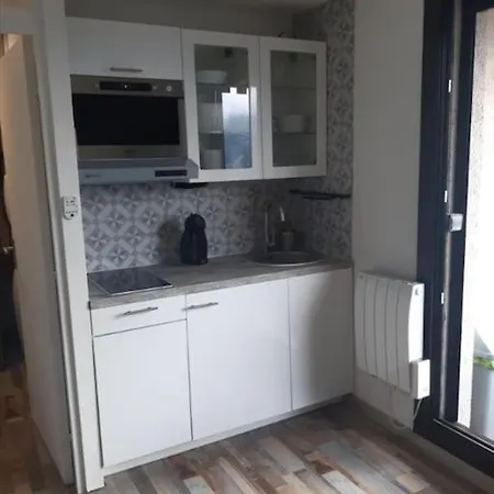 Apartment Studio La Voile Des Neiges Pra Loup 1600 *